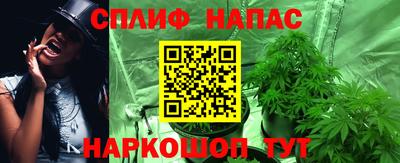 амф Новокубанск