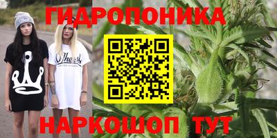 ECSTASY Новозыбков