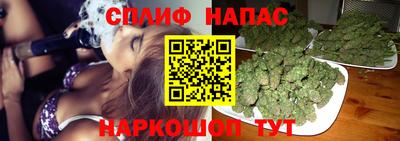 амф Новокубанск