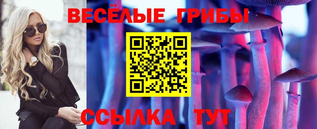 Хабаровск  Галлюциногенные грибы GOLDEN TEACHER  Вход с VPN 